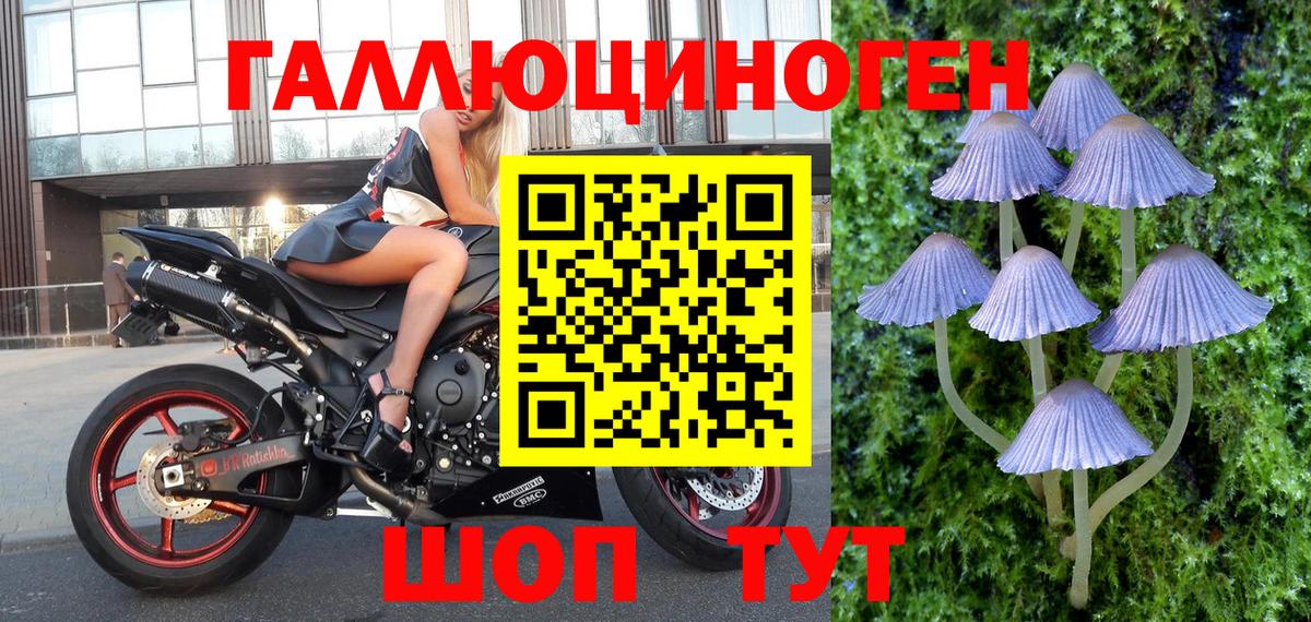 Сосновый Бор  купить наркотик  Вход с VPN  Галлюциногенные грибы мицелий 