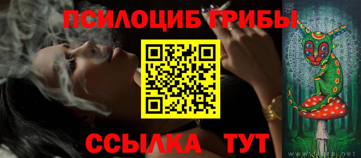 Псилоцибиновые грибы прущие грибы Сосновый Бор